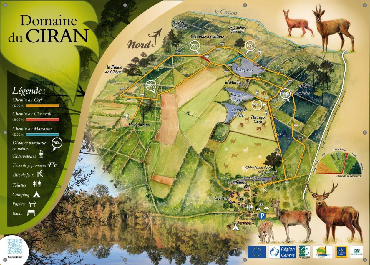 Le Cocoon D'Annabelle - Jolie Maison Avec Jeux Et Grand Jardin Pierrefitte-sur-Sauldre Εξωτερικό φωτογραφία
